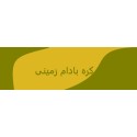 کره بادوم زمینی